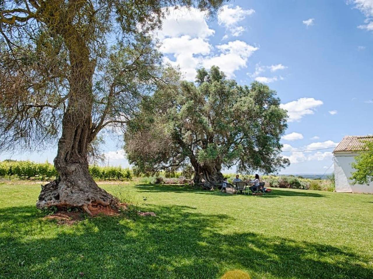 Ferienvilla mit Garten, Grill und Terrasse in Silves, Faro Distrikt