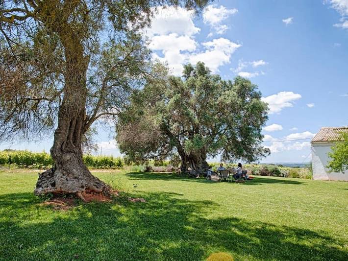 Ferienhaus für 11 Personen, mit Pool und Garten in Silves - 4