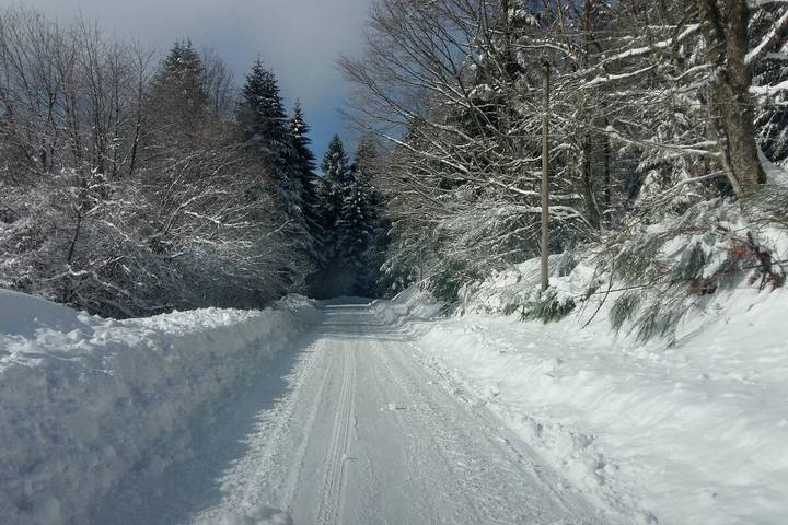Location de vacances pour 8 personnes, avec jardin, animaux acceptés à Xonrupt-Longemer - 3