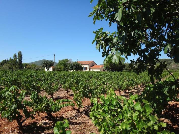 Casa de vacaciones para 4 personas, con jardín y terraza - 1