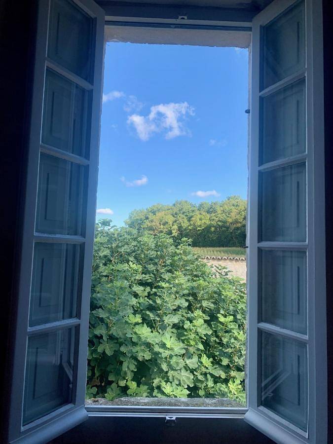 Gîte pour 3 personnes, avec jardin à Montignac-Charente - 3