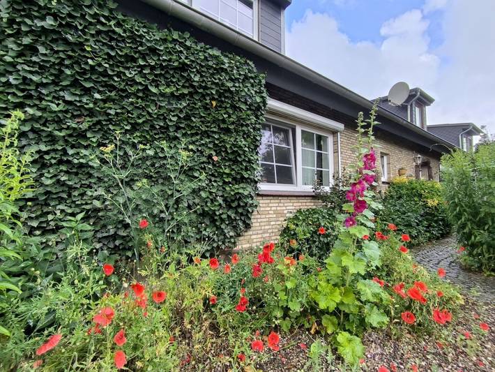 Ferienwohnung für 2 Personen in Haithabu - 3