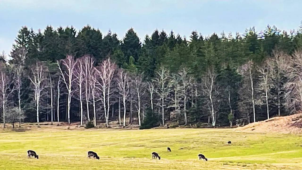 Ferienhaus für 6 Personen (105 m²) in Eckerud in Lilla Edet, Västergötland