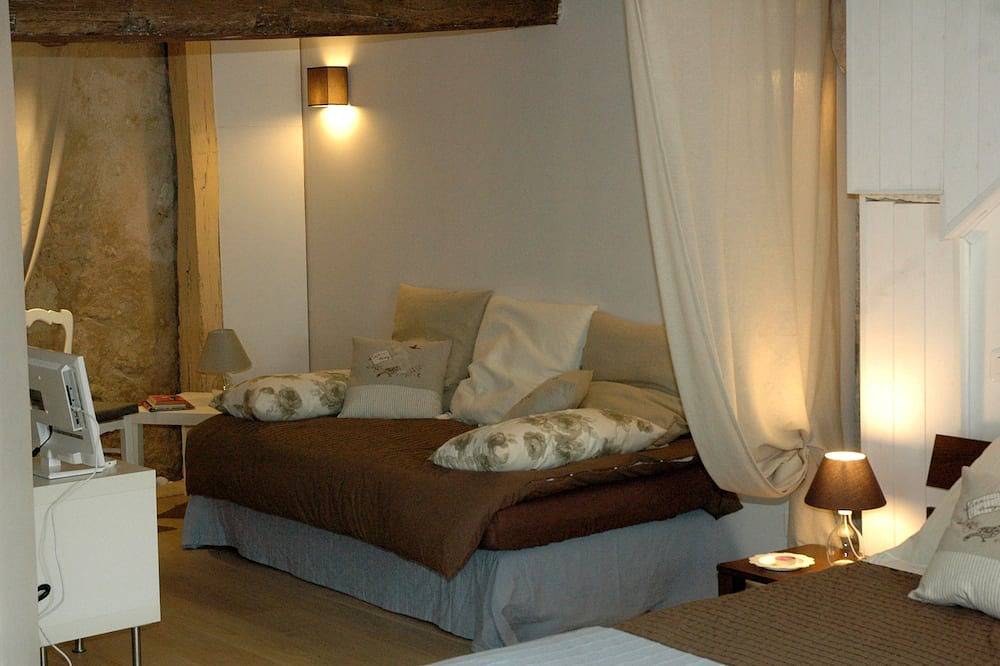 3 bedroom 3 bathroom town house in the heart of the Loire castles in Amboise, Tours region