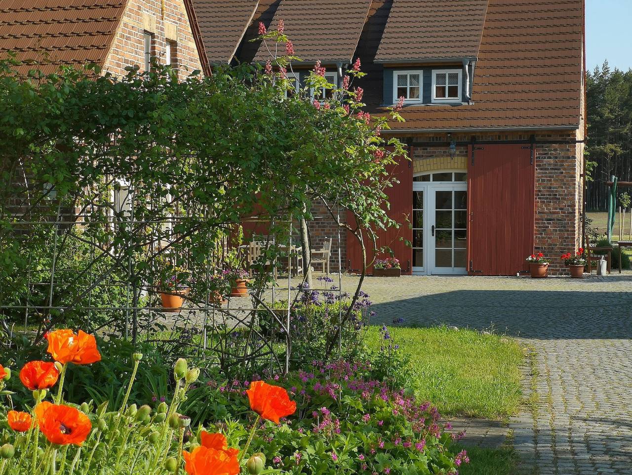 Ganze Ferienwohnung, Ferienhof Erlengrund Ferienhaus, 4 Fewo, Lausitzer Seenland - Ferienwohnung  Schwalbe in Boxberg (Oberlausitz), Oberlausitzer Heide- und Teichlandschaft