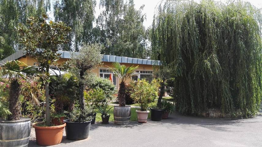 Ferienwohnung für 3 Personen, mit Terrasse in Blasewitz - 3