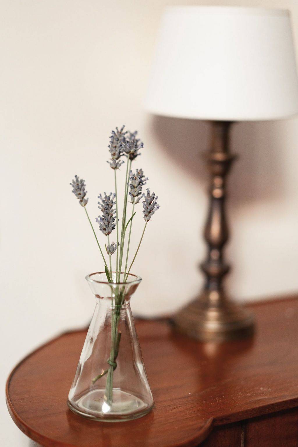 Entire apartment, Mit Mezzanin und Schwimmbad, in einem Bauernhaus in den Hügeln in Pesaro, Valle del Metauro