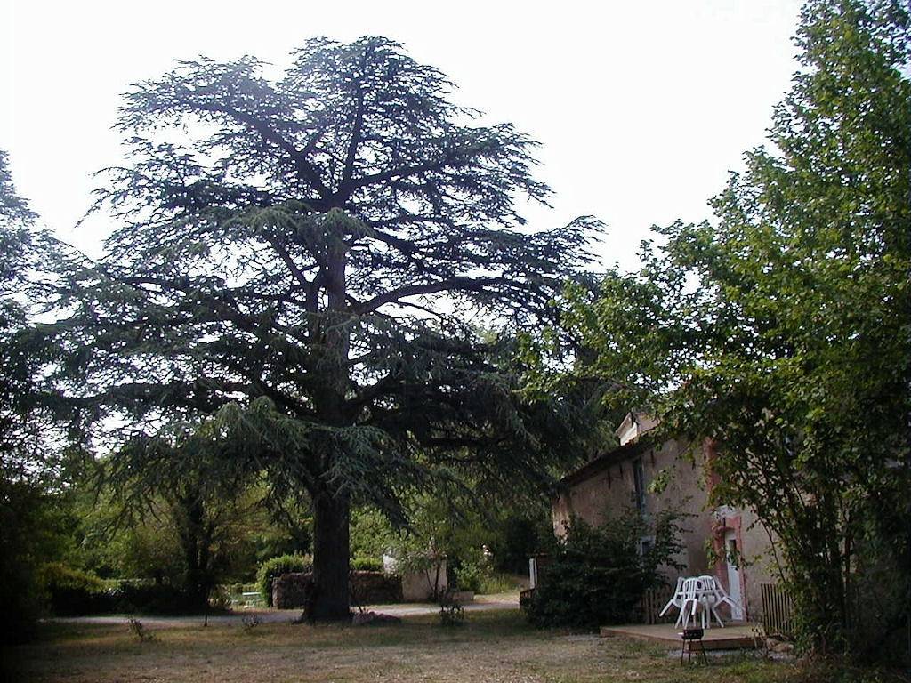 Le Fournil du Moulin du Chapitre in Sorèze, Lauragais