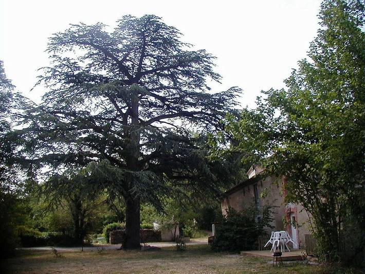 Gîte pour 3 personnes, avec jardin