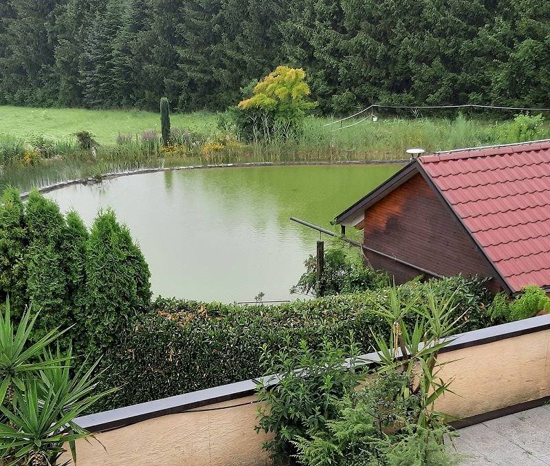 Ganze Ferienwohnung, Ferienwohnungen Hof Schnell - Ferienwohnung 2, 60 qm, 1 Schlafzimmer, max. 4 Pers. in Kressbronn am Bodensee, Region Bodensee-Oberschwaben