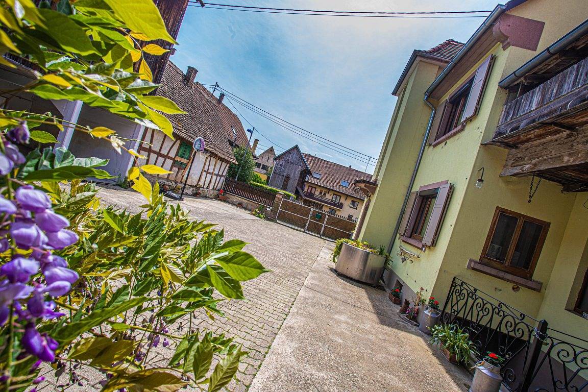 Gite cœur d'Alsace, proche d'Europa-Park in Boofzheim, Région de Sélestat-Erstein