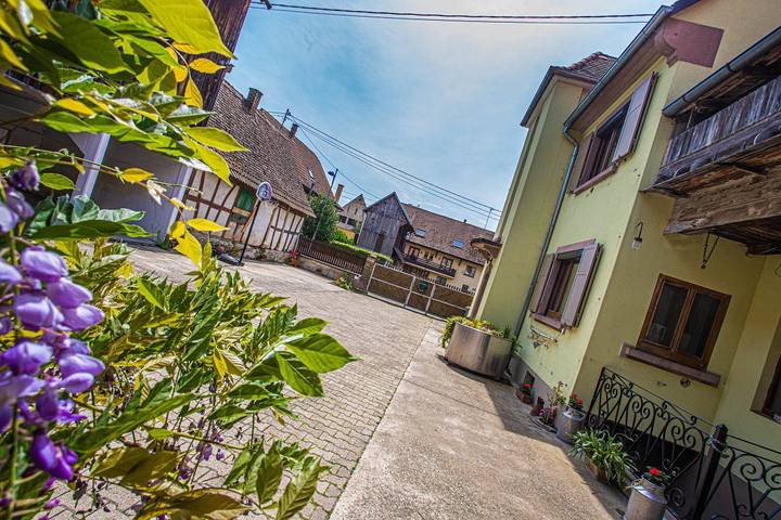 Gîte pour 14 personnes, avec terrasse à Boofzheim