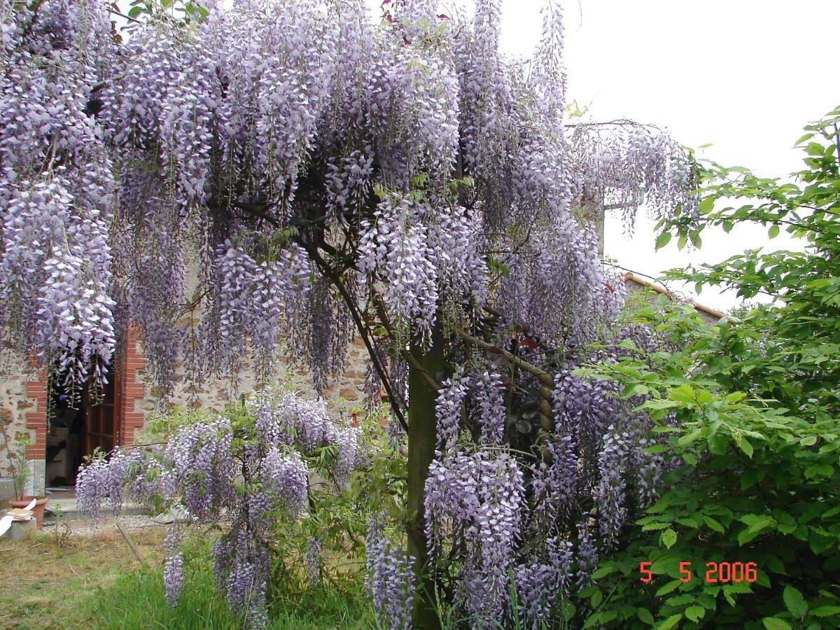 Gîte climatisé de La Haute Rue in Touvois, Région de Nantes