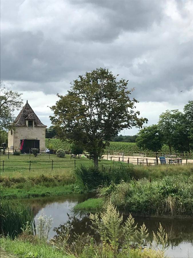 Location de vacances pour 4 personnes, avec jardin ainsi que terrasse et vue à Eynesse - 2