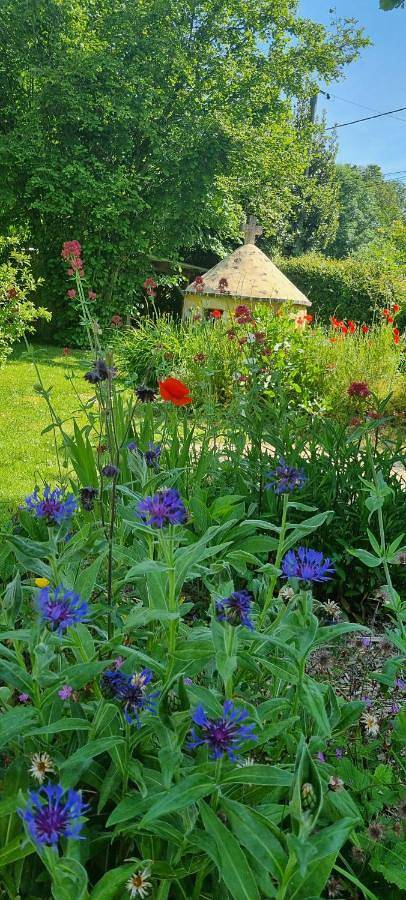 Maison d’hôte pour 2 personnes, avec jardin et terrasse ainsi que vue et piscine dans Orne - 2