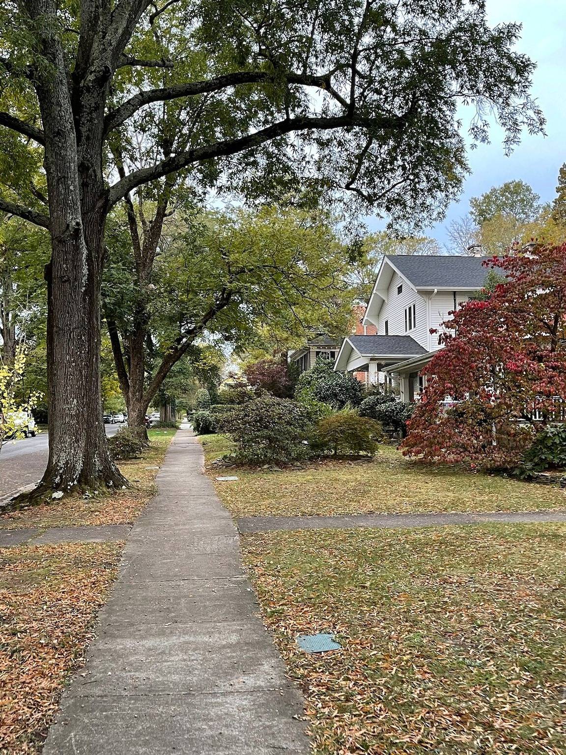 Appartement entier, Walk to Duke Campus!  3 Bedroom in Trinity Park! in Durham (NC), Comté de Durham (États-Unis)