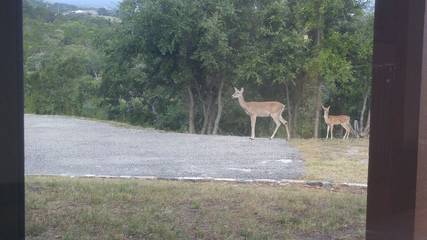 Villa for 4 Guests in Texas Hill Country, Texas, Picture 1