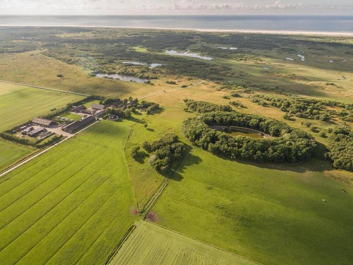 Gîte pour 6 personnes, avec terrasse à Schiermonnikoog - 3