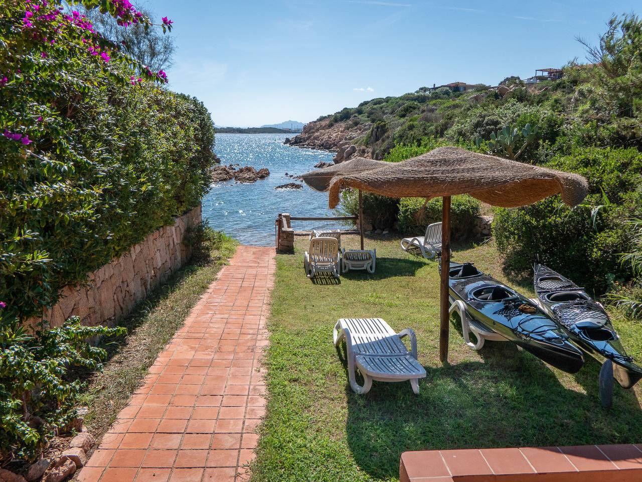 Petunia in Villaggio Piras, La Maddalena