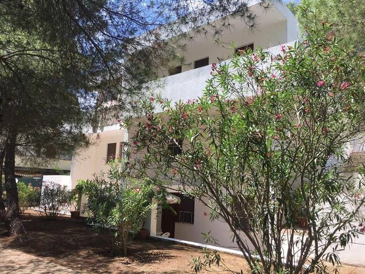 Gîte pour 5 personnes, avec vue et jardin, animaux acceptés dans Castellaneta Marina - 3