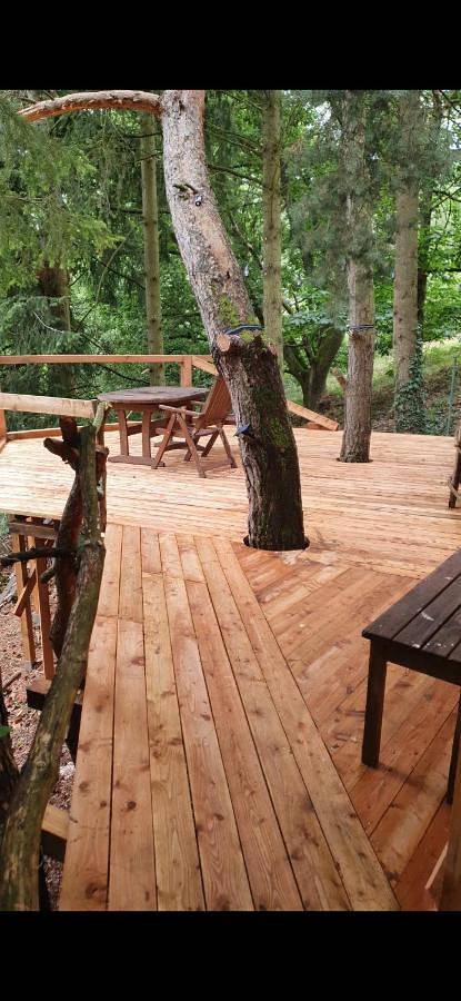 Gîte pour 4 personnes, avec vue et jardin, animaux acceptés à Dernbach - 2