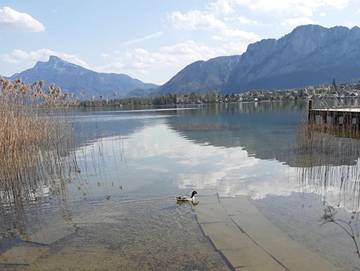 Hütte für 3 Personen in Mondsee & Irrsee, Bezirk Vöcklabruck, Bild 3