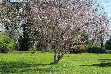 Gîte pour 2 Personnes dans Castéra-Lectourois, Gers, Photo 4