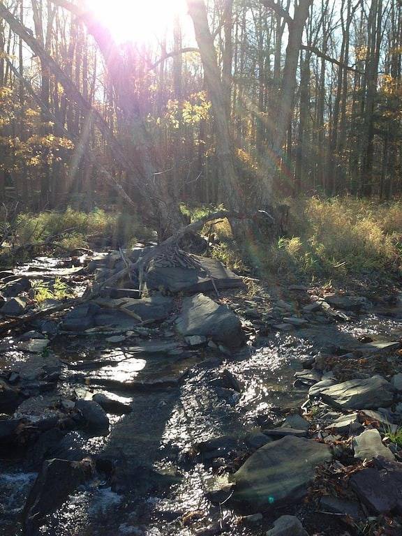 Zu Hause weg von zu Hause. 4 Schlafzimmer, 3 Bäder, geräumiges Haus mit Dock für Ihr Boot. in Lake Wallenpaupack
