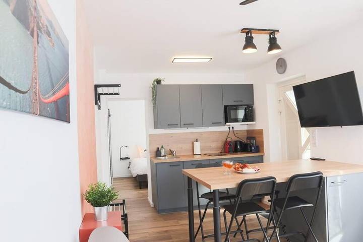 Gîte pour 4 personnes, avec terrasse dans La Petite Camargue Alsacienne - 3