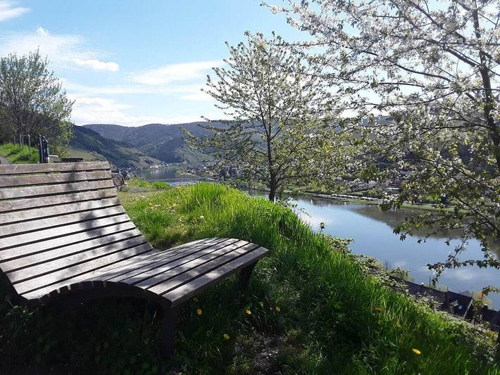 Ferienhaus für 2 Personen, mit Terrasse in Zell (Mosel) - 3