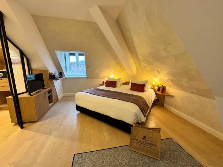 Hôtel pour 2 personnes, avec jardin et vue ainsi que piscine et sauna, animaux acceptés à Port-Lesney - 4