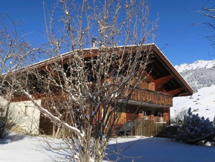 Ganze Wohnung, Silberdistel in Lauenen b. Gstaad, Lauenen