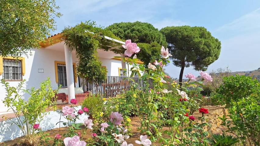 Location de vacances pour 6 personnes, avec piscine ainsi que jardin et vue à Villanueva del Río y Minas - 2