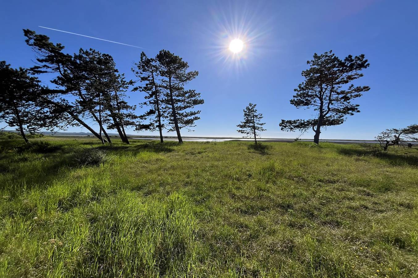 2 bedroom home in Højby in Gudmindrup Lyng, Højby