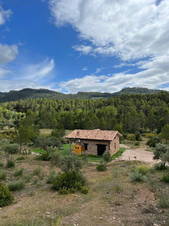 Casa rural para 8 personas, con vistas además de piscina y jardín, Se admiten mascotas en Villaverde de Guadalimar - 2