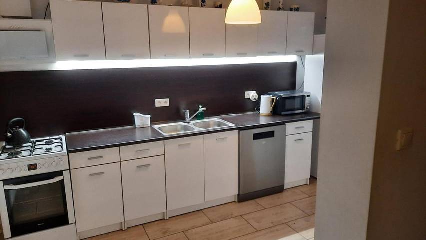 Dom dla 12 osób, z ogród w Zalew Wiślany