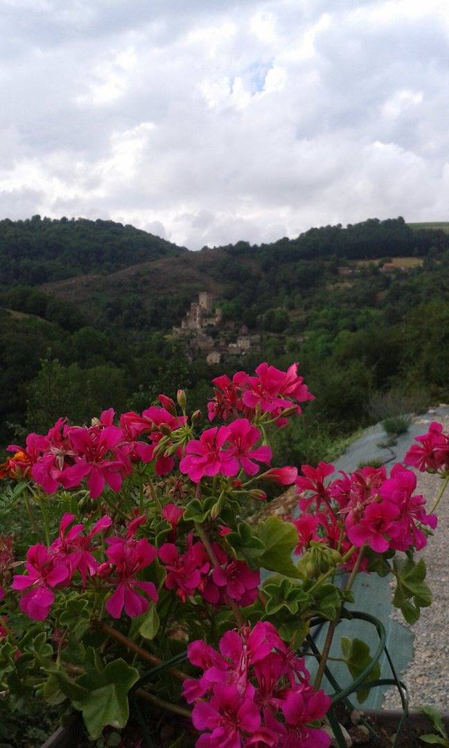 Les Terrasses - Gîtes les Hauts de Belcastel in Belcastel, Aveyron
