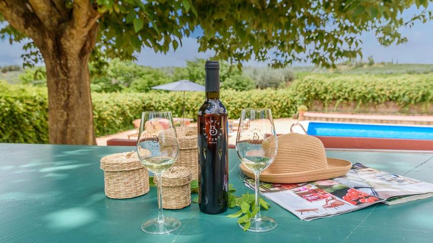 Casa rural para 16 personas, con piscina, Se admiten mascotas en Montilla - 3