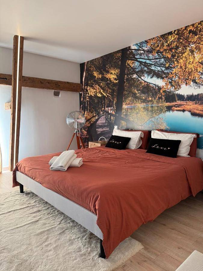 Location de vacances pour 2 personnes, avec sauna ainsi que jacuzzi et terrasse à Guewenheim - 3