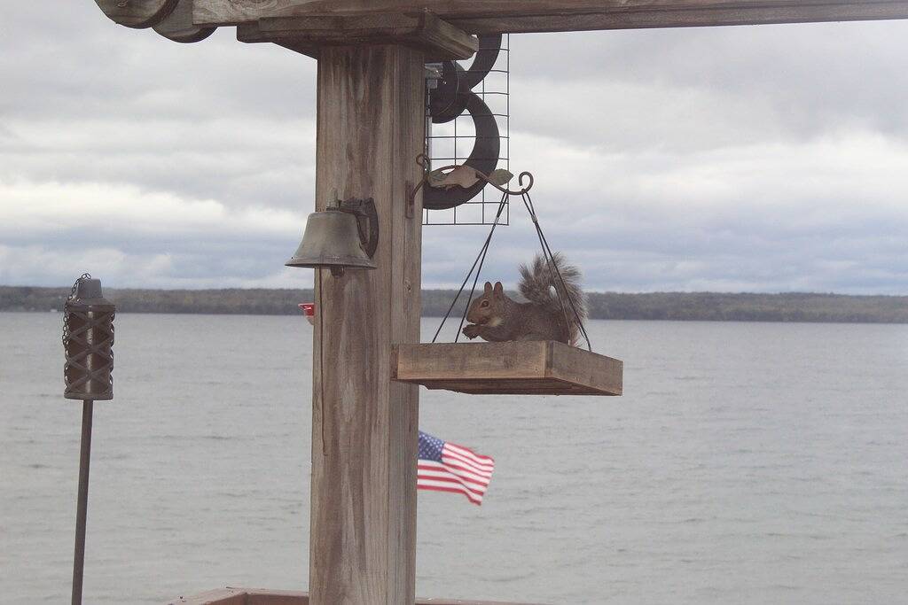 Spektakuläre Aussicht auf den See bietet Privatsphäre, Ruhe und Gelassenheit! Haustierfreundlich! in Seneca Lake