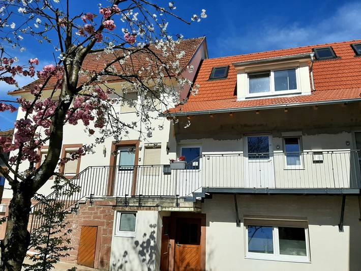 Ferienhaus für 4 Personen in Spessart-Mainland - 2