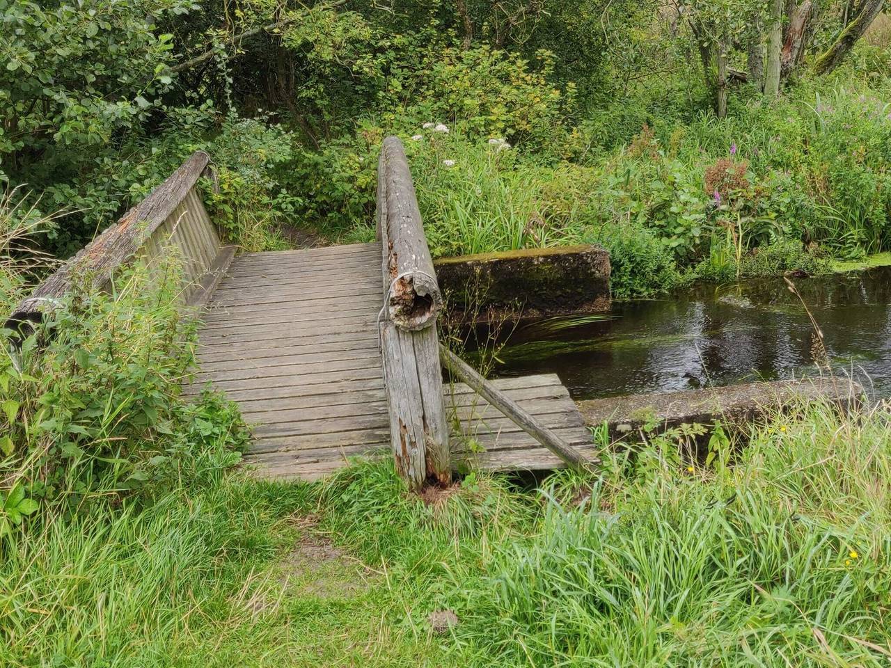 7 Personen Ferienhaus in Frederikshavn in Nordostjütland