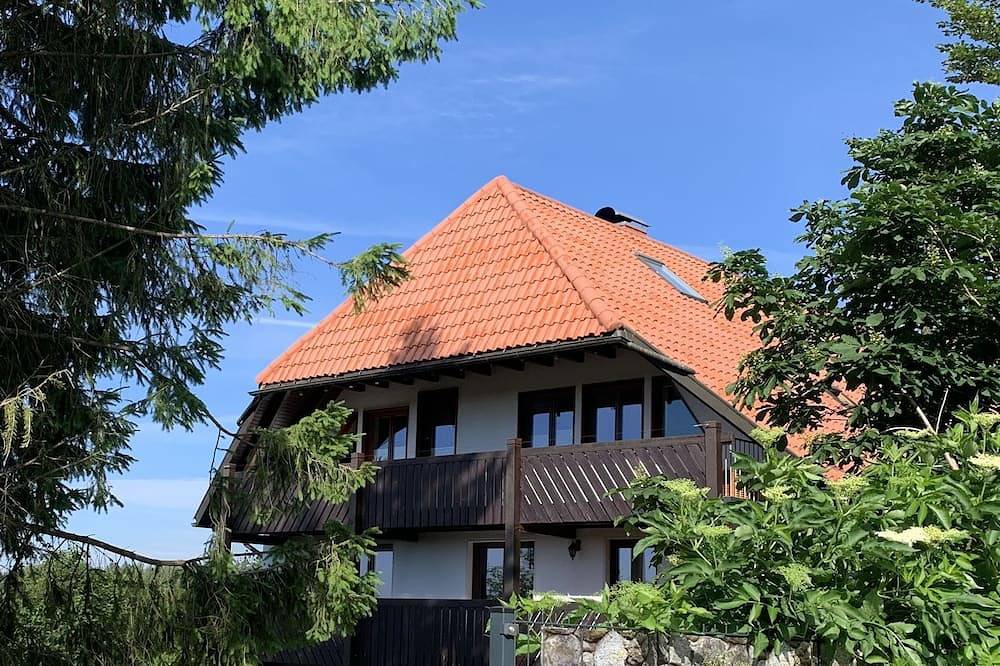 Ganze Wohnung, Fewo, 60 qm, Balkon, 1-max. 6 Personen, 2 Sz, idyllisch, Badesee, Aktiv-Urlaub in Bräunlingen, Mittlerer Schwarzwald
