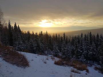 Hütte für 2 Personen in Fairbanks, Alaska, Bild 3