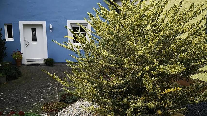 Ferienhaus für 3 Personen, mit Garten in Zeltingen-Rachtig