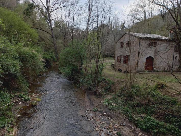 Gîte pour 3 personnes à Pitigliano - 3