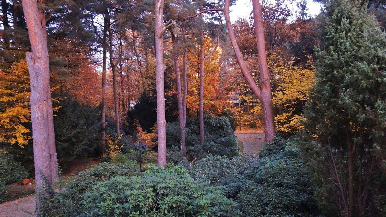 Ganze Ferienwohnung, Ferienwohnung für 4 Personen (102 m²) in Bispingen in Bispingen, Landkreis Heidekreis