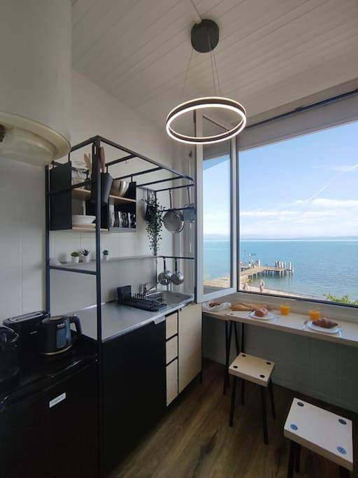 Appartement entier, One-Bedroom Apartment in Publier, Région de Thonon-les-Bains