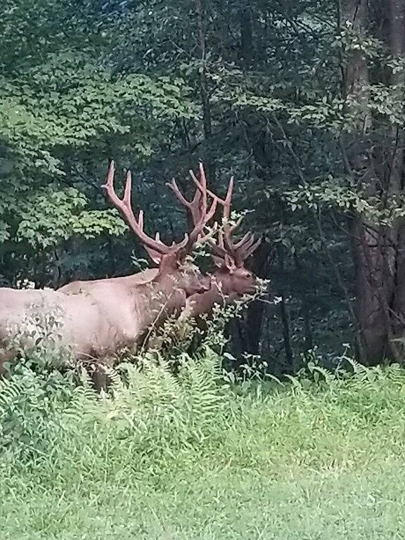 Vacation home for 6 people, with terrace and yard in Pennsylvania