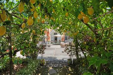 Villa per 4 Persone in Sant'Agnello, Costa tirrenica Campania, Foto 3